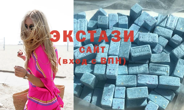 ECSTASY Алзамай