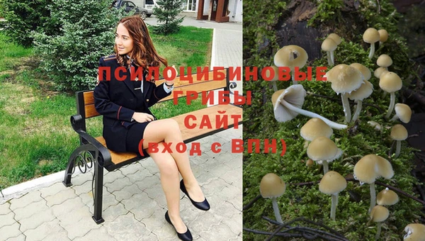 винт Алексин