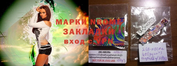 ECSTASY Алзамай