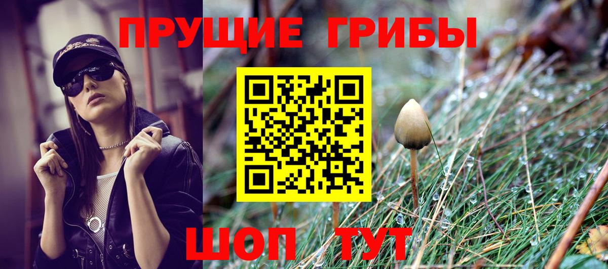 Томск  Псилоцибиновые грибы ЛСД  Вход с VPN  Галлюциногенные грибы прущие грибы 